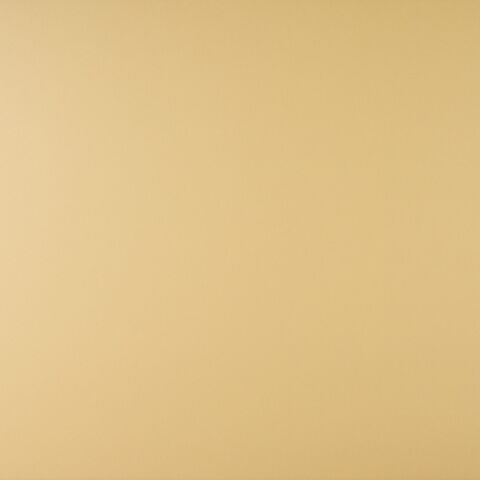 Wandfliese Trendy 25 x 50 cm Mustard