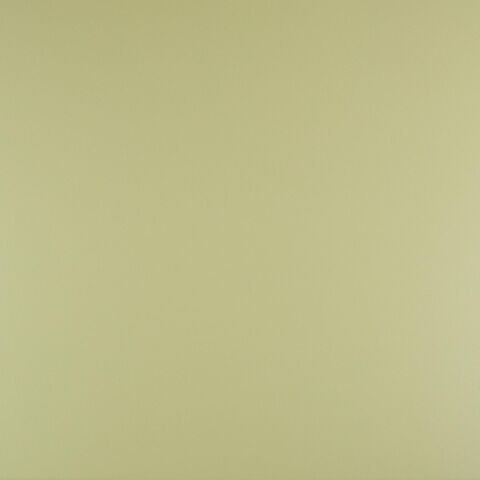Wandfliese Trendy 25 x 50 cm Matcha