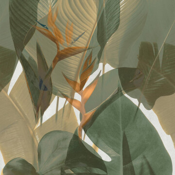 Dekorfliese Ylico 120 x 278 cm Tropical Green