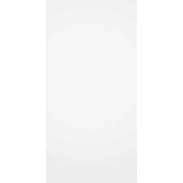 Fliese FSZ (Paris) 60 x 120 cm wei&szlig; gl&auml;nzend